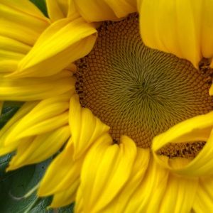 Meet your Posher, Mike